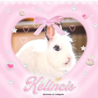 Telegram profile photo for kelinci! ♡ soon.