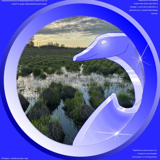 Telegram profile photo for Йошкар-Ола|Биосфера