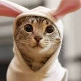 Telegram profile photo for ГРУППЫ СЕТКА ЧАТОВ
