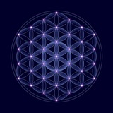 Telegram profile photo for Peacemakers