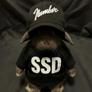 Telegram profile photo for ssdbutik