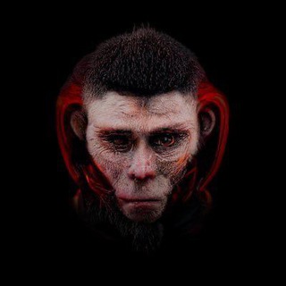 Telegram profile photo for LASREVER Community Portal