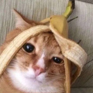 Telegram profile photo for МемХранилище