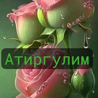 Telegram profile photo for .♚̪̥̺̪̥̺̪̥̺͜͡❤️ АТИРГУЛИМ ❤️ ོ͜͡ ͜͡҈♚̪̥̺̪ Каналига хуш келибсиз. 🌹