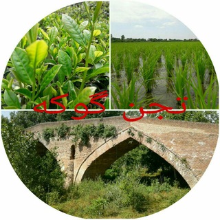 Telegram profile photo for روستای تجن گوکه