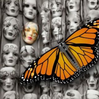 Telegram profile photo for Mariposas Elitistas