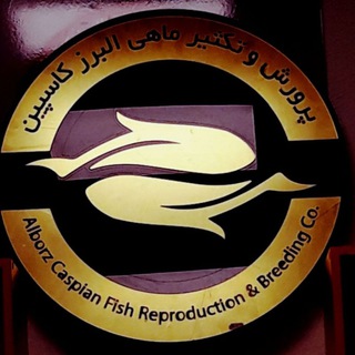 Telegram profile photo for 🔻شرکت پرورش و تکثیر ماهی البرز کاسپین🔻