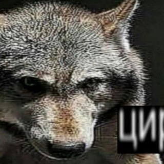 Telegram profile photo for Волки в цирке 🐺