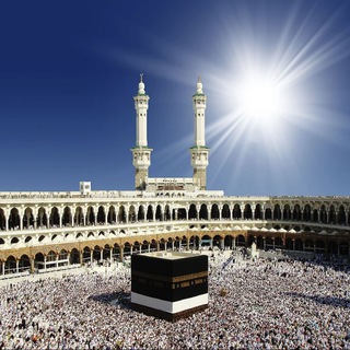 Telegram profile photo for نور دین