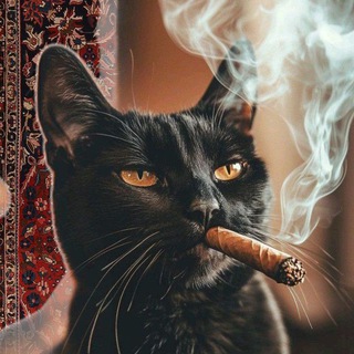 Telegram profile photo for Asupan Indo Terbaru Viral
