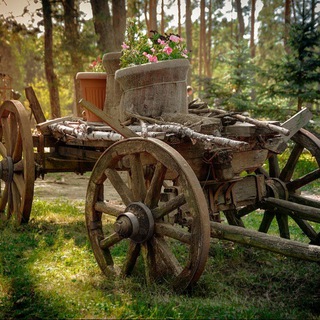 Telegram profile photo for Телега с разбега
