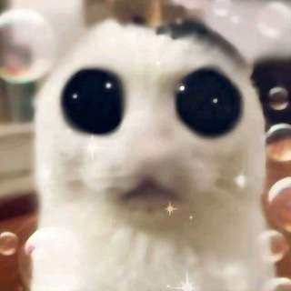 Telegram profile photo for ᴧиɸᴛ...