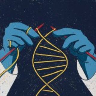 Telegram profile photo for عملي المجموعة A 🎓❣️