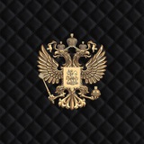 Telegram profile photo for ЗАСЛОН - Служу Отечеству!