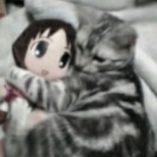 Telegram profile photo for шуршунчик