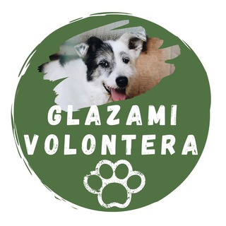 Telegram profile photo for Glazami_volontera. 8 сектор. приют Некрасовка