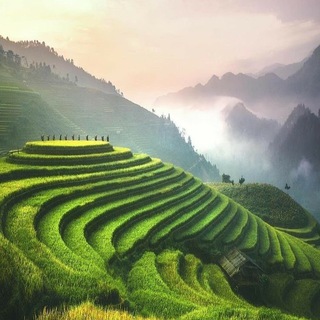 Telegram profile photo for Почему ты еще не там?🌎