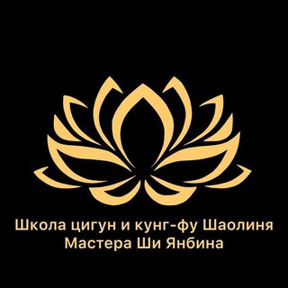 Telegram profile photo for Новости Школы Мастера Ши Янбина