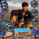 Telegram profile photo for .