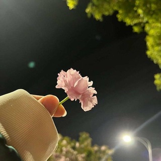 Telegram profile photo for نِصـفُ ابْتِسَامَة🤍