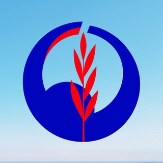 Telegram profile photo for Зимний марафон «Дорога жизни»