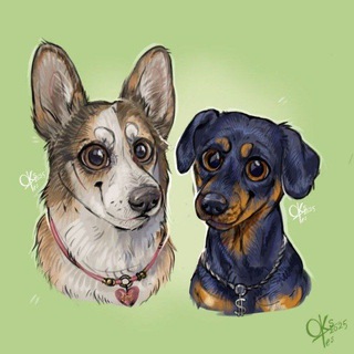 Telegram profile photo for Dogs_in_the_heart🧡🖤💜