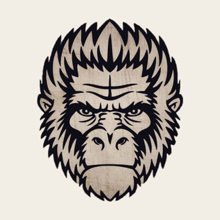 Telegram profile photo for TOKquest