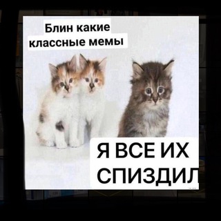 Telegram profile photo for МЕМЕЧАТ