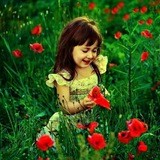 Telegram profile photo for اطلاع رسانی انجمن ادبی استان قم