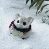 Telegram profile photo for بوت نجوم مجاني