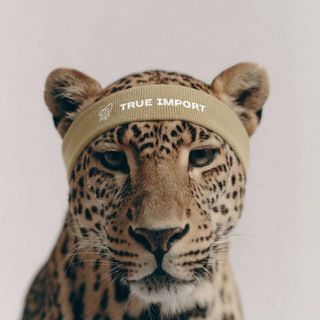 Telegram profile photo for 🇨🇳 TRUE IMPORT - Доставка из Китая