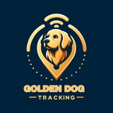 Telegram profile photo for 金狗热点追踪 ton/sol/bnb/eth/core/base
