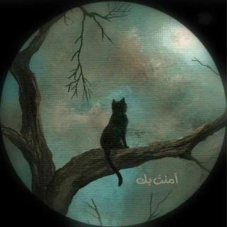 Telegram profile photo for آمنتُ بك 🩷