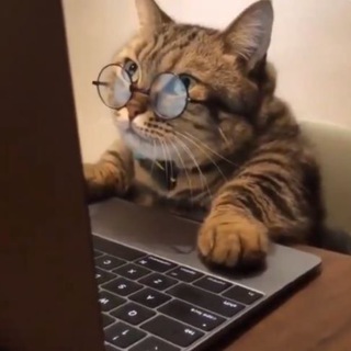 Telegram profile photo for теперь я understand | english vocabulary
