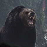 Telegram profile photo for Sanjarbey
