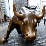 Telegram profile photo for Trading Bulls