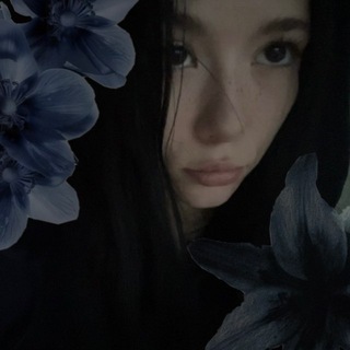 Telegram profile photo for 505