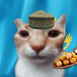 Telegram profile photo for 𐰳𐰇𐰤𐰃𐰯𐰝𐰓𐰃𐰤 : 𐱃𐰍𐰑𐰃𐰺𐰃