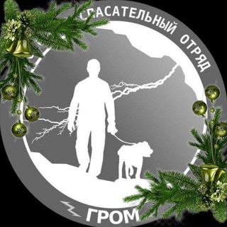Telegram profile photo for АООО ПСО "ГРОМ"