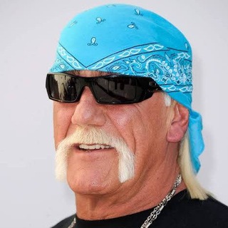 Telegram profile photo for boot's book of moderately ok analysis.