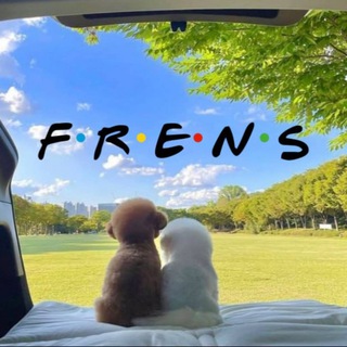 Telegram profile photo for Frens CTO