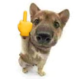 Telegram profile photo for ЩП от УомиЯппи