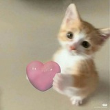 Telegram profile photo for I'm girl