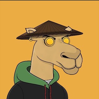 Telegram profile photo for Fury Meta