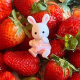 Telegram profile photo for INFORMATIONS.