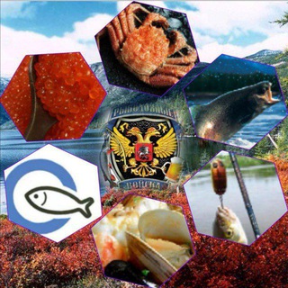 Telegram profile photo for Рыбалка. Морепродукты. "Рынок 🐬 Магадан 49rus"