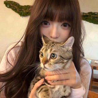 Telegram profile photo for 老司機回饋區