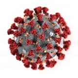 Telegram profile photo for Coronavirus COVID-19