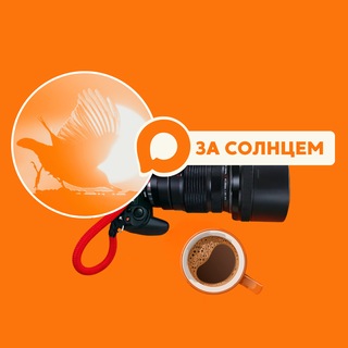 Telegram profile photo for За солнцем