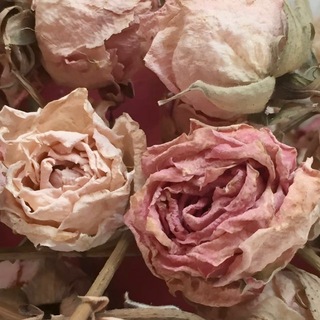 Telegram profile photo for roséate & co. art.